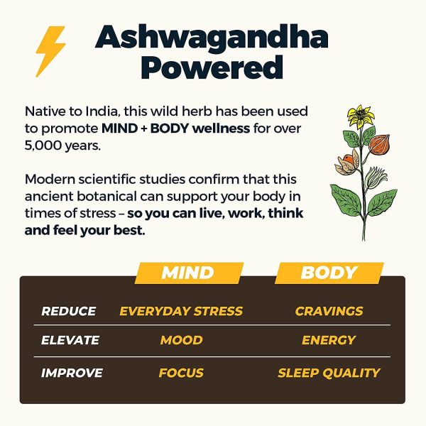 Atlas Protein Bar with Ashwagandha